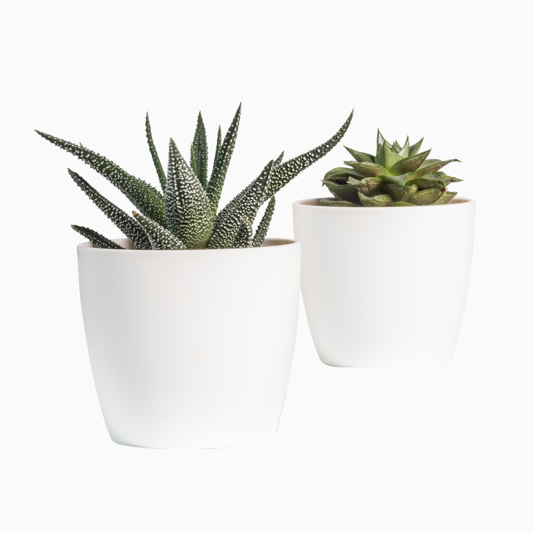 Ceramic Pots